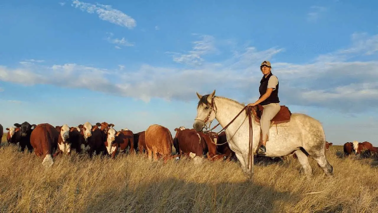 En Chubut, el campo no pagar� Impuesto Inmobiliario por segundo a�o consecutivo