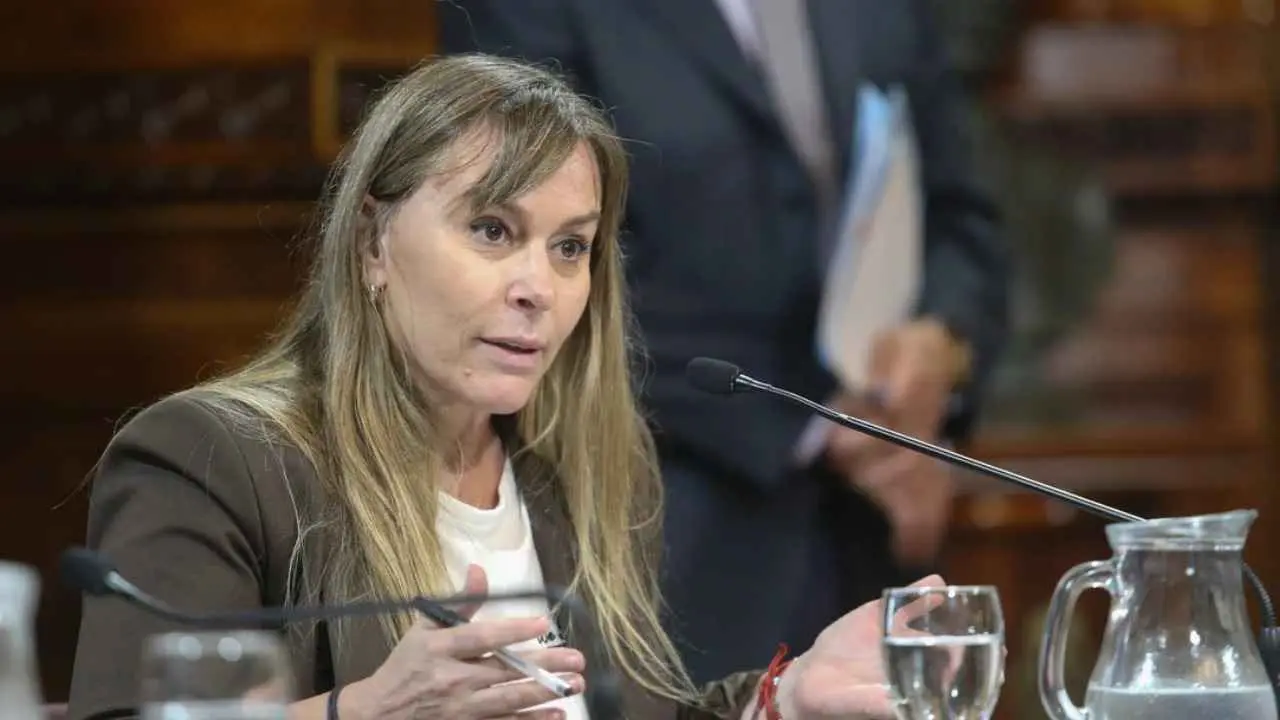 El mensaje oculto de una senadora peronista que salpica a Massa por la Ley de Tierras