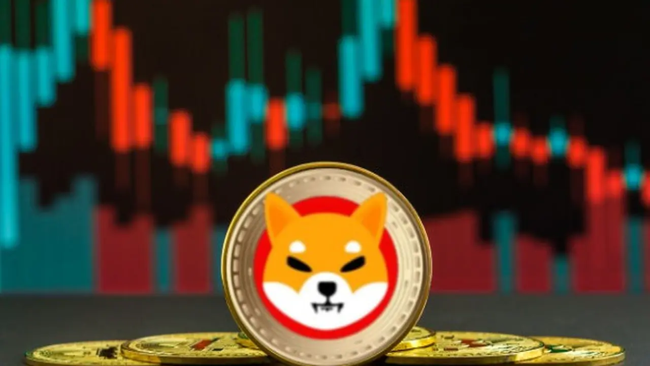 Shiba inu, precio: por qué subió 170% la criptomoneda