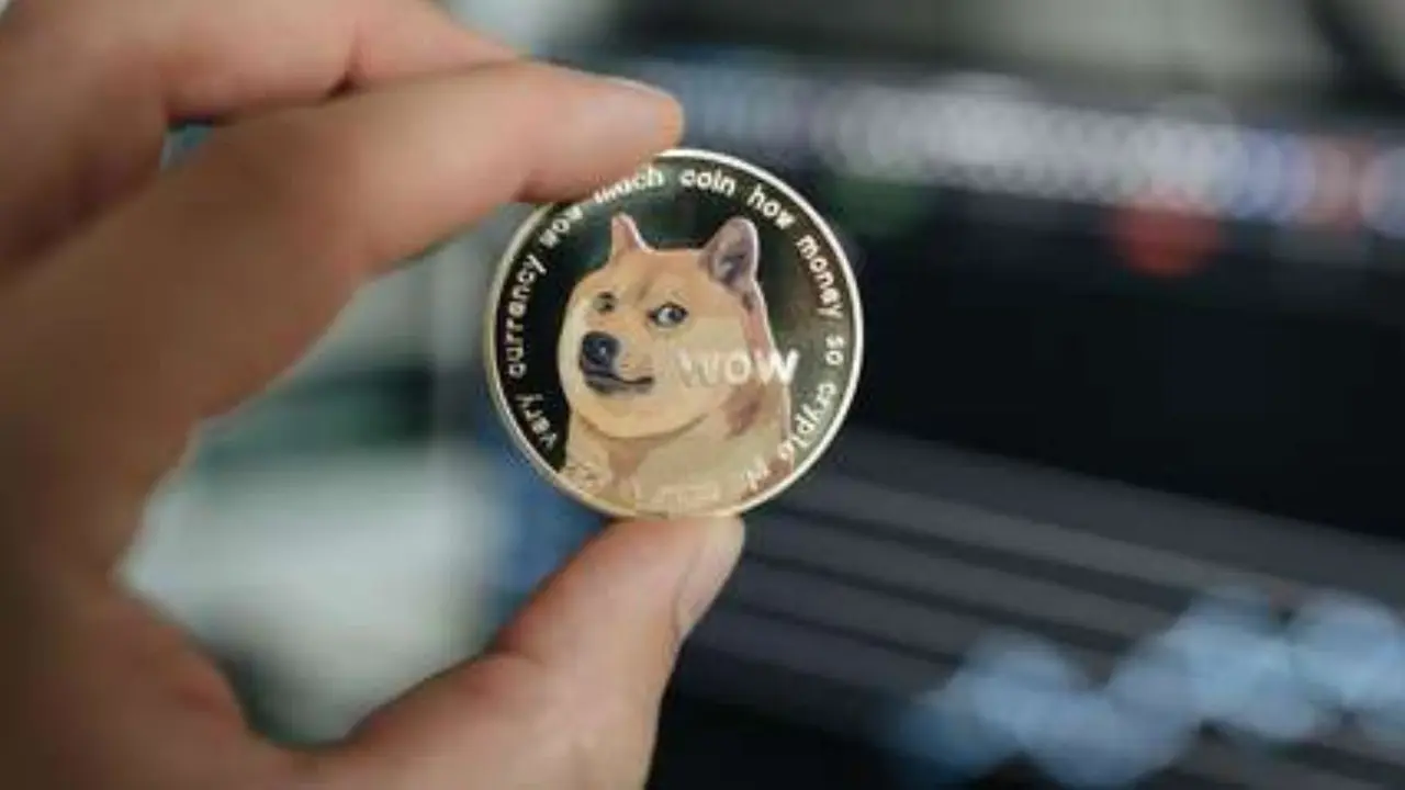 No es Dogecoin: criptomoneda meme registra en 2025 su peor año y cae 65%