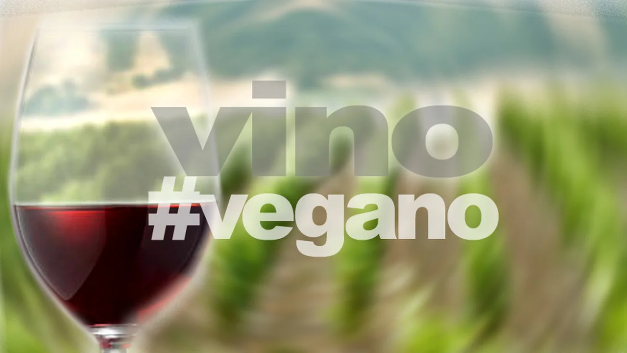 Qué es el VINO VEGANO y 10 etiquetas que tenés que probar