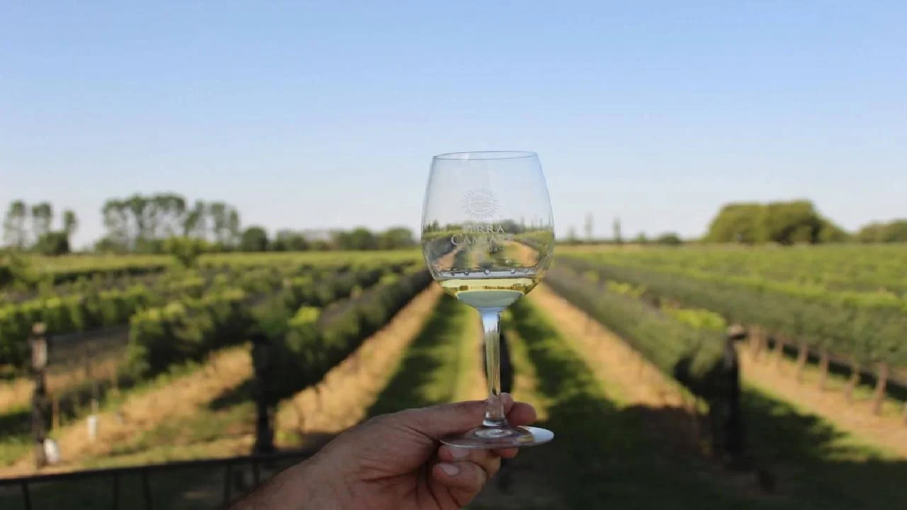 dónde queda la ruta del vino más exclusiva de Argentina