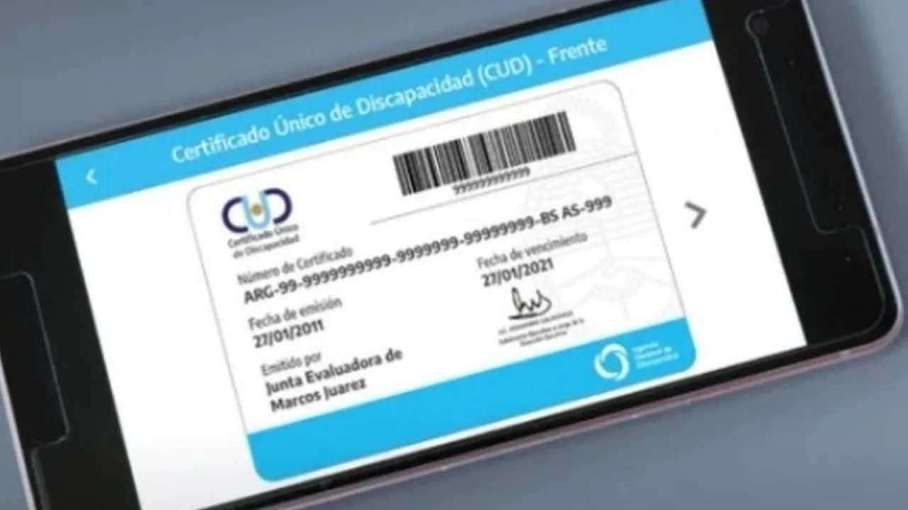 CUD Argentina: ¿Quiénes califican, cómo obtenerlo y dónde tramitarlo según tu provincia?