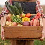 Ser vegano vs. comer carne: estos son los resultados de estudios en gemelos