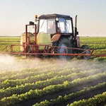 Final para un veneno: oficializan la prohibición para uno de los agrotóxicos más letales creados por Dow Corteva