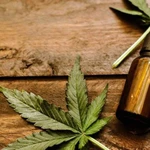 Para qué enfermedades sirve el cannabis y cómo anotarse en el registro argentino para acceder a un cultivo controlado