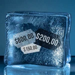 Precios congelados: desde espuma de afeitar hasta alimentos para mascotas, este el el listado de los 1.432 productos