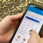 Alerta por esta nueva estafa que involucra a Mercado Pago: ¿cómo funciona?