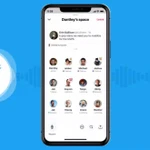 Así funciona Spaces, la nueva herramienta de Twitter que quiere "revolucionar" la red de microblogging