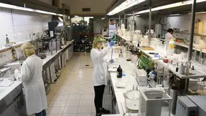 Paso a paso para conseguir trabajo en un laboratorio y cuánto se cobra en promedio