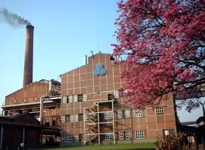 La familia Blaquier, en crisis: los problemas del principal ingenio azucarero argentino
