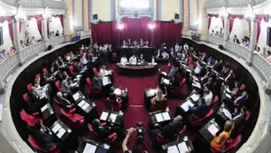 Una senadora cercana a Kicillof propone restituir la reelección indefinida de intendentes