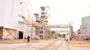 Cuál es la fórmula de la familia Pérez Companc para consolidar su negocio agropecuario