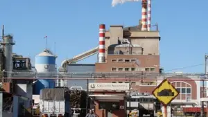 La mayor productora de papel del país, al borde del default