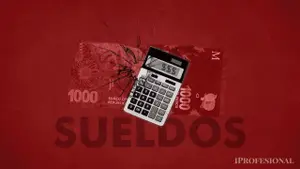 Cómo queda el nuevo Salario Mínimo, Vital y Móvil en dólares