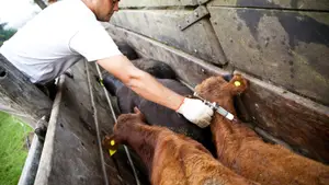 El Gobierno da un paso más hacia una desregulación polémica para el campo