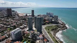 Quién es el popular cantante europeo que se mudó a Mar del Plata y revolucionó La Feliz