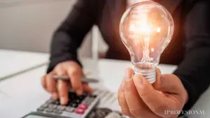 Qué atípica garantía deberán pagar las ganadoras del negocio de megabaterías eléctricas