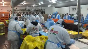 Trabajadores avícolas marchan a la cámara empresarial ante la falta de acuerdo salarial