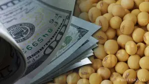 Dólares del agro: la liquidación del primer semestre fue la más alta en más de 20 años