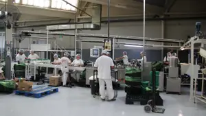 El Gobierno extiende "Puente al empleo": cómo adherirse y qué programas sociales se suman