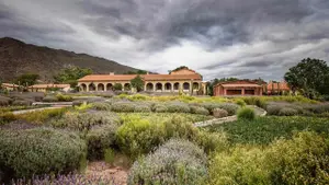 Cuál es la mejor bodega para visitar en Argentina y disfrutar de grandes vinos