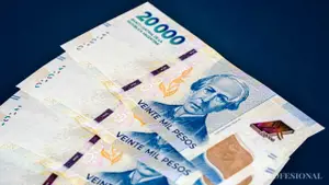 Cual es el salario que pretenden ganar los argentinos en junio de 2025