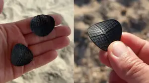 Hallaron plástico negro en forma de "pringles" y preocupa a ambientalistas