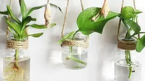Si guardás frascos de vidrio, tenés un tesoro: 7 ideas creativas para reciclarlos