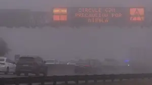 Manejar con niebla: consejos para subirse al auto cuando hay poca visibilidad