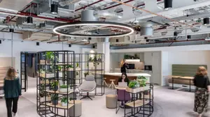 Transformación del espacio laboral para una mejor gestión y productividad