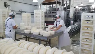 Dueña de dulce de leche premium frena producción en planta clave y complica a un pueblo
