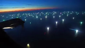 Pesca ilegal: con predominio chino, llegan 400 buques que depredarán el Atlántico Sur