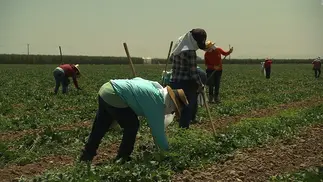 Sueldo UATRE: cuánto cobrará un peón rural por lo trabajado en mayo 2026