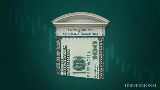 Cuántos dólares podría comprar el BCRA en lo que resta del año