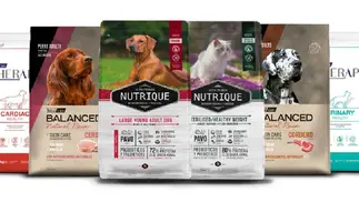 Pilar Innova compró el 35% de Vitalcan para acelerar su expansión