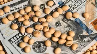 Guerra en Medio Oriente impulsa el precio de la soja y el aceite en el mercado de Chicago