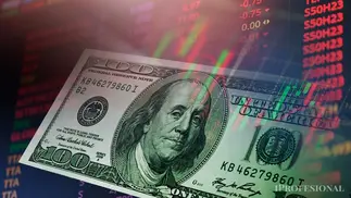 Cómo ahorrar y ganar en dólares sin comprar billetes: cuatro opciones de inversión