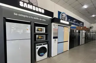 El método GV para crecer en un mercado de electrodomésticos que se achica