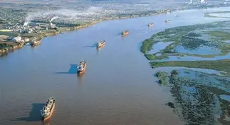 Hidrovía: alertan que el dragado impulsado por Cargill, Bunge y Dreyfus causaría ecocidio
