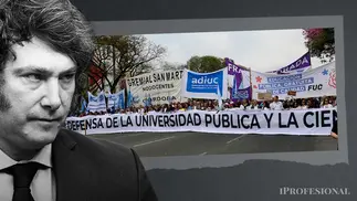 El Gobierno apelará fallo que lo obliga a aplicar la Ley de Financiamiento Universitaria