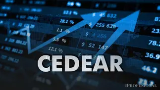 8 CEDEARs en los que Cocos Capital recomienda invertir $1 millón
