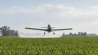 Fumigaciones tóxicas en Pergamino: absolución para productores y condena al municipio
