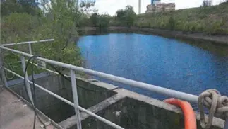 Detectaron contaminación en Río Uruguay por la papelera Botnia: informe dispara alarmas