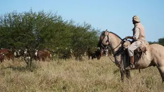 UATRE: cuánto cobra un peón rural en octubre y noviembre de 2026
