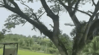 VIDEO | Así se estrelló un avión con soldados en Colombia: hubo 8 muertos
