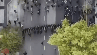 Ley de Glaciares: hay un detenido, tras incidentes entre la Policía y manifestantes