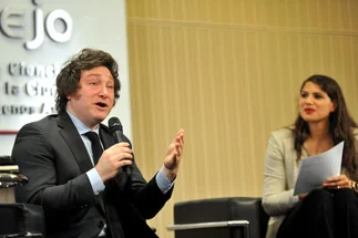 Mileimania: dos candidatos del Consejo de Ciencias Económicas, alineados con el Presidente