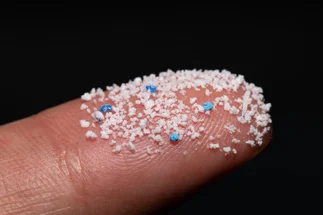 Encuentra plástico hasta en el cerebro horas después de comer