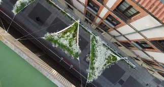 Una startup dice tener la solución ante la falta de árboles